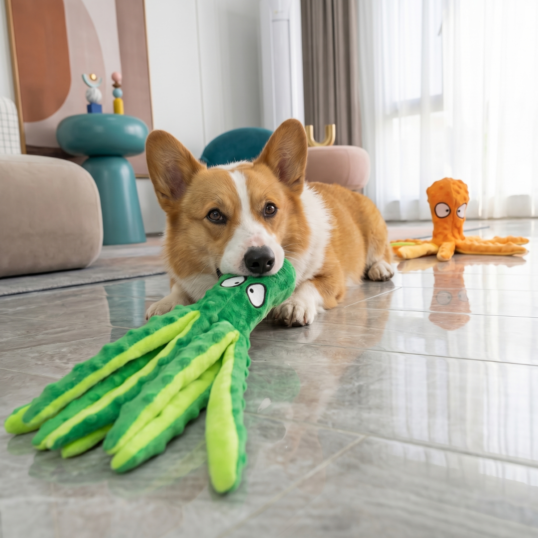 Octo Plush Squeaky Dog Toy