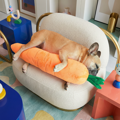 Carrot Plush Giant Dog Toy