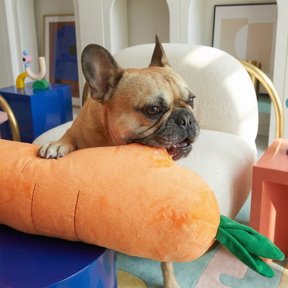 Carrot Plush Giant Dog Toy