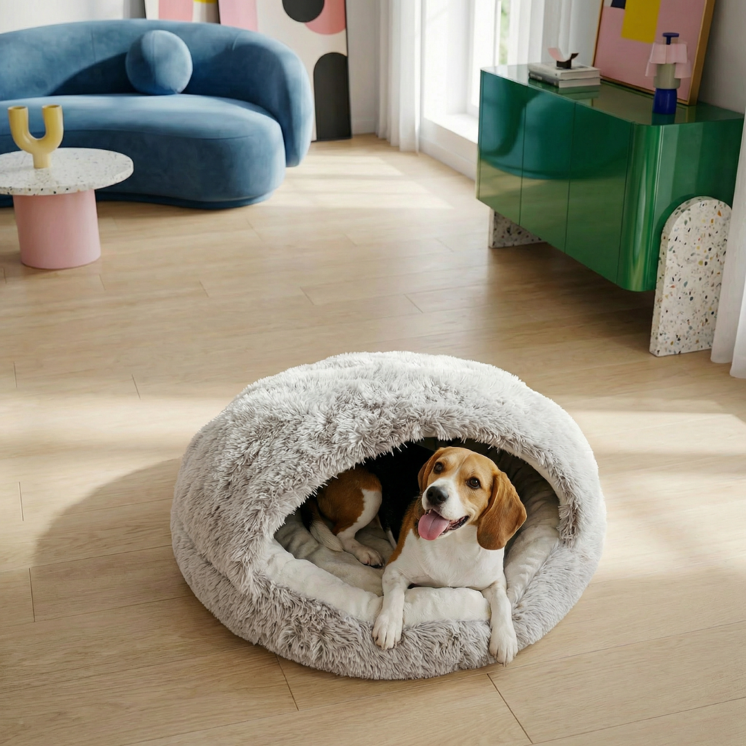 Cozy Shell Cave Pet Bed