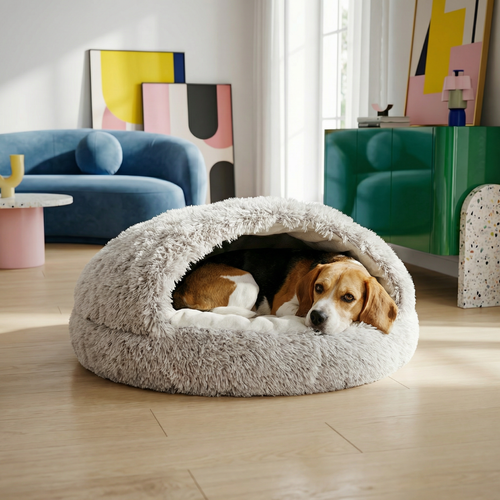 Cozy Shell Cave Pet Bed