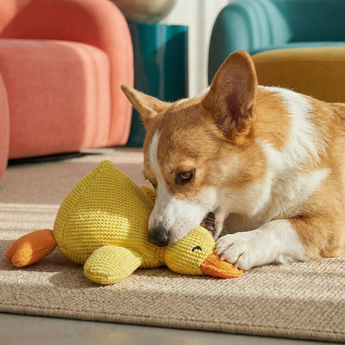 Quack Chew Durable Duck Dog Toy