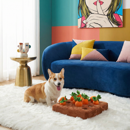 Carrot Farm Snuffle Mat Dog Toy