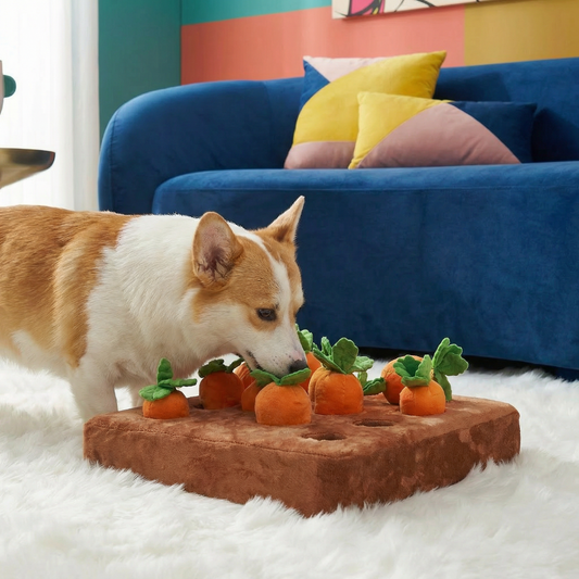 Carrot Farm Snuffle Mat Dog Toy