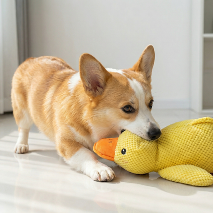 Quack Chew Durable Duck Dog Toy